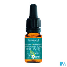 Afbeelding in Gallery-weergave laden, Ladrome Rode Kastanje/red Chestnut 10ml
