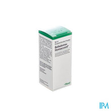 Afbeelding in Gallery-weergave laden, Belladonna-homacc. Gutt 30ml Heel
