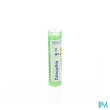 Load image into Gallery viewer, Colocynthis 5ch Gr 4g Boiron

