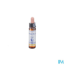 Afbeelding in Gallery-weergave laden, Healing Herbs Cherry Plum 10ml
