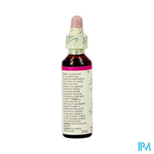 Load image into Gallery viewer, Bach Flower Remedie 38 Willow 20ml
