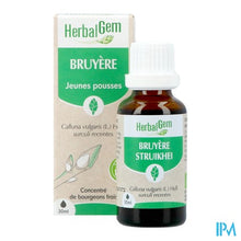 Afbeelding in Gallery-weergave laden, Herbalgem Struikhei Bio 30ml
