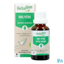 Afbeelding in Gallery-weergave laden, Herbalgem Struikhei Bio 30ml

