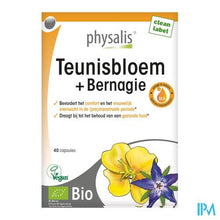 Load image into Gallery viewer, Physalis Teunisbloem+bernagie Caps 40
