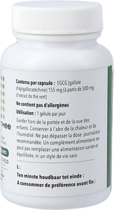 Groene Thee 500 V-caps 60 Pharmanutrics