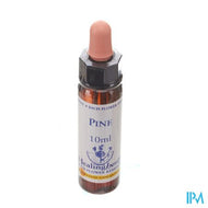 Heilkräuter Kiefer 10ml