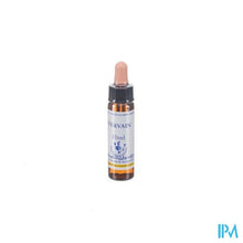 Charger l'image dans la galerie, Healing Herbs Vervain 10ml
