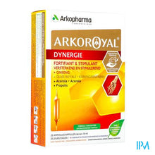 Load image into Gallery viewer, Arkoroyal Dynergie Amp 20
