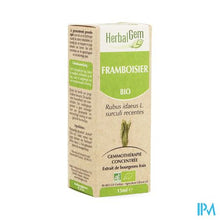 Charger l'image dans la galerie, Herbalgem Frambozen Maceraat 15ml
