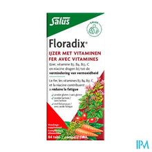 Afbeelding in Gallery-weergave laden, Salus Floradix Drag 84
