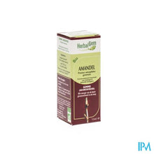 Afbeelding in Gallery-weergave laden, Herbalgem Amandel Maceraat 15ml
