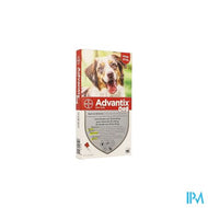 Advantix 250/1250 Honden 10<25kg Fl 4x2,5ml