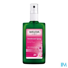 Load image into Gallery viewer, Weleda Wilde Rozen Deodorant Spray 100ml
