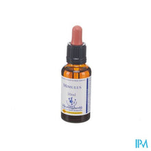 Afbeelding in Gallery-weergave laden, Healing Herbs Mimulus 30ml
