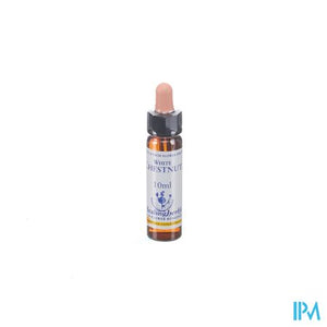 Healing Herbs White Chestnut 10ml