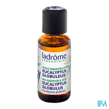 Charger l'image dans la galerie, Ladrome Eucalyptus Globulus 30ml

