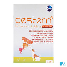 Load image into Gallery viewer, Cestem Tabl 2 Grote Honden
