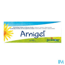 Afbeelding in Gallery-weergave laden, Arnigel Tube 45g Boiron
