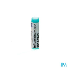 Afbeelding in Gallery-weergave laden, Influenzinum 200k Gl Boiron
