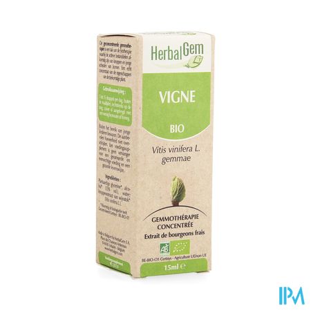 Herbalgem Wijnstok Maceraat 15ml