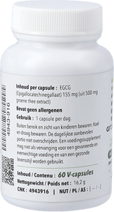 Groene Thee 500 V-caps 60 Pharmanutrics