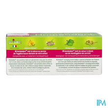 Charger l'image dans la galerie, Homeodent 1st Teeth Care Strawb.&raspb. Tandp.50ml
