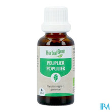 Charger l'image dans la galerie, Herbalgem Populier Bio 30ml
