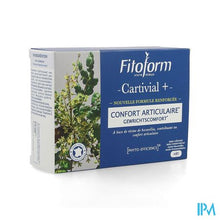 Charger l'image dans la galerie, Cartivial+ Gewrichtscomfort Comp 40 Fitoform
