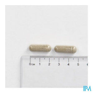 Cogniton Plus Energy La Caps 90