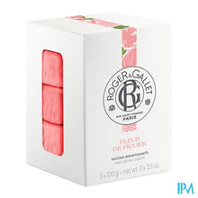 Load image into Gallery viewer, Roger&gallet Fleur De Figuier Doos 3 Zepen 100g
