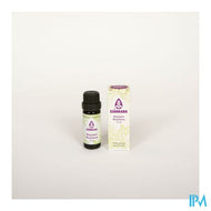 Sjankara Marjolein Co2-extract 11ml