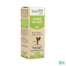 Load image into Gallery viewer, Herbalgem Hondsroos Maceraat 50ml
