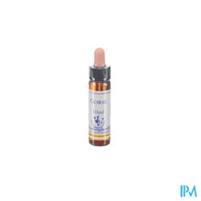 Afbeelding in Gallery-weergave laden, Healing Herbs Gorse 10ml
