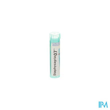 Charger l'image dans la galerie, Staphysagria 7ch Gr 4g Boiron
