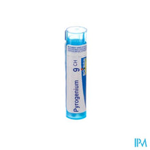 Load image into Gallery viewer, Pyrogenium 9ch Gr 4g Boiron
