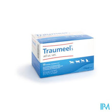 Charger l'image dans la galerie, Traumeel S Ad Us.vet Amp 50x5,0ml
