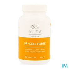 Afbeelding in Gallery-weergave laden, Alfa Up-cell Forte Comp 90
