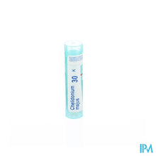 Afbeelding in Gallery-weergave laden, Chelidonium Majus 30k Gr 4g Boiron
