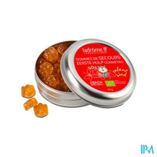 Afbeelding in Gallery-weergave laden, Ladrome Eerste Hulp Gommetjes 45g
