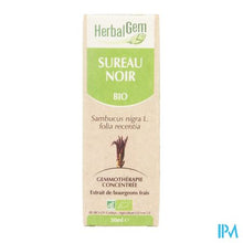 Afbeelding in Gallery-weergave laden, Herbalgem Vlierbes Maceraat 50ml
