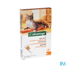 Afbeelding in Gallery-weergave laden, Advantage 40 Katten &lt;4kg 4x0,4ml
