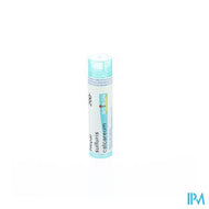 Hepar Sulfuris Calcareum 200k Gr 4g Boiron