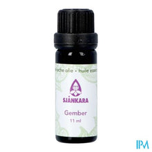 Load image into Gallery viewer, Sjankara Gember Ess. Olie Bio 11ml
