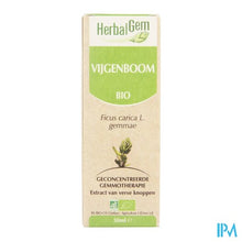 Afbeelding in Gallery-weergave laden, Herbalgem Vijgenboom Maceraat 50ml
