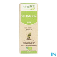 Afbeelding in Gallery-weergave laden, Herbalgem Vijgenboom Maceraat 50ml
