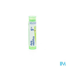 Charger l'image dans la galerie, Apis Mellifica 5ch Gr 4g Boiron
