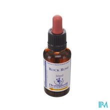 Load image into Gallery viewer, Healing Herbs Rock Rose 30ml
