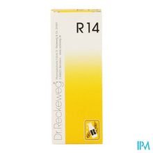 Afbeelding in Gallery-weergave laden, Reckeweg Dr. R14 Gutt 50ml
