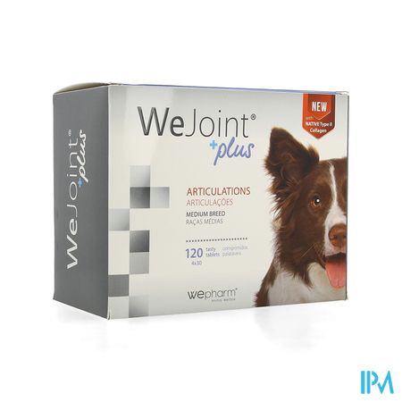 Wejoint Plus Medium Breed Tabl 4x30