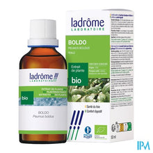 Afbeelding in Gallery-weergave laden, Ladrome Boldo Fragrans/boldo 50ml
